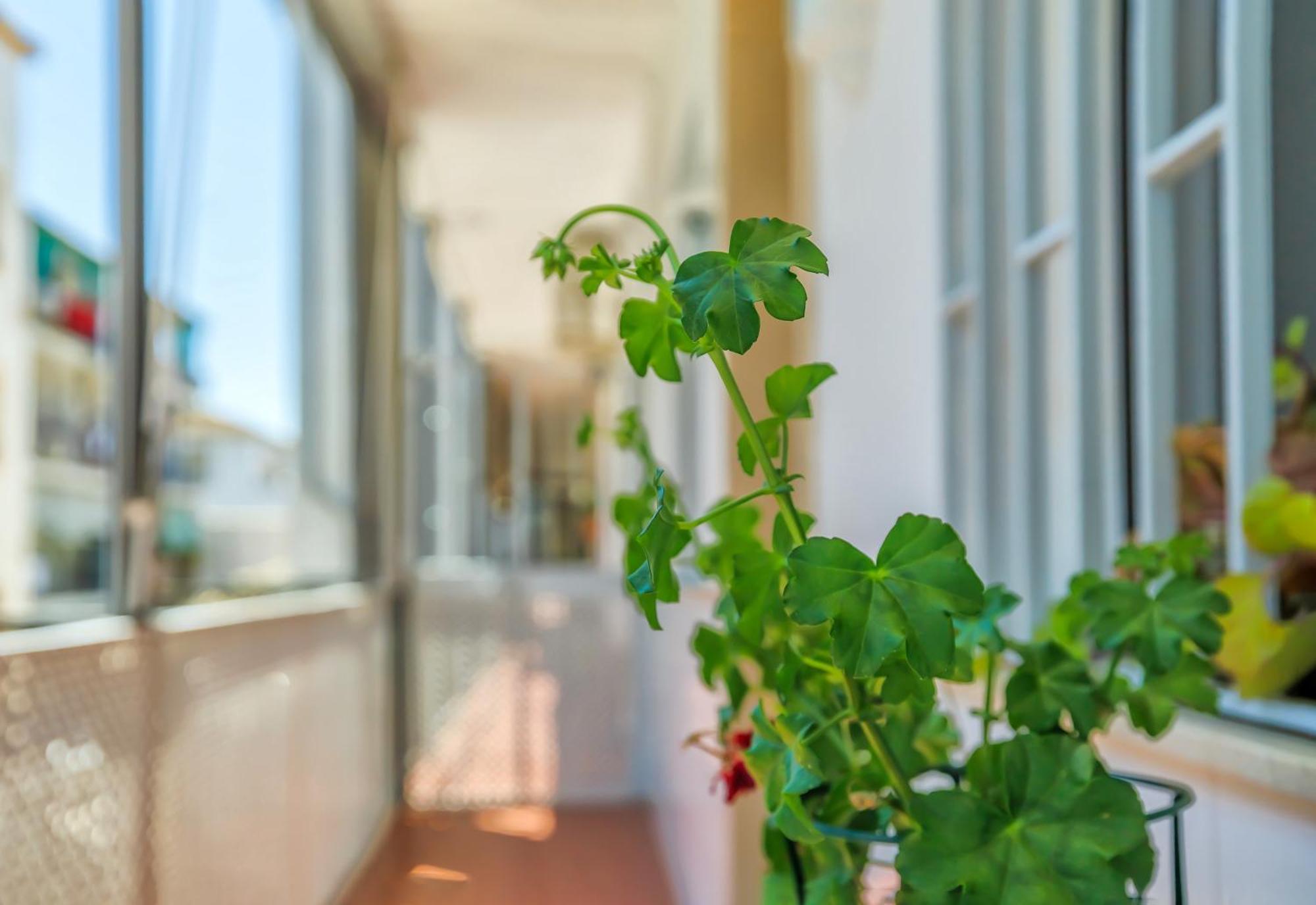 Altillo Sweet Home & Parking Incluido Córdoba Exteriér fotografie
